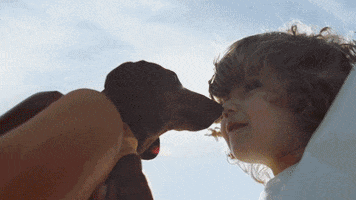 super bowl commercials 2016 GIF by Heinz Ketchup