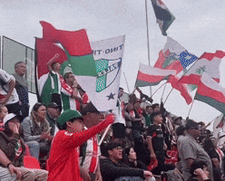 Barra GIF by Club Deportivo Palestino