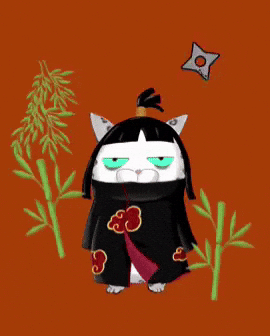 Cat Naruto GIF by Insomnia Cats