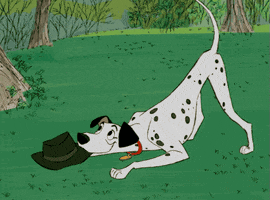 walt disney animation studios dog GIF by Disney