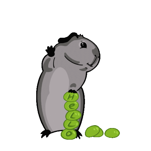 Guineapig Sticker
