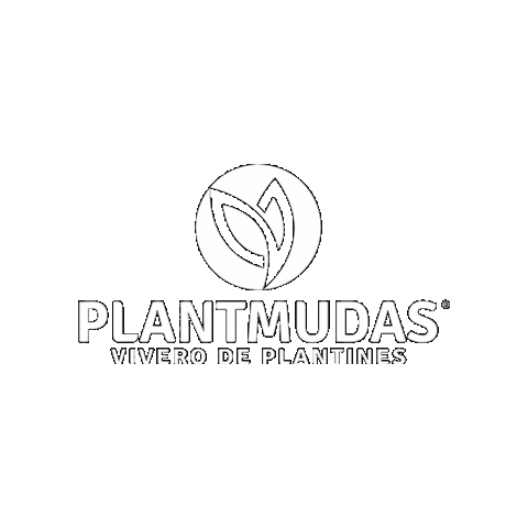 Vivero Sticker by Tecseed Brasil