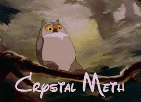 crystal meth owl GIF
