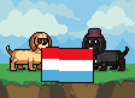 Dog Pixel GIF by Abstract HotDogs