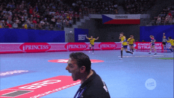handball GIF by EHF