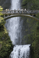 multnomah falls photography GIF by hateplow