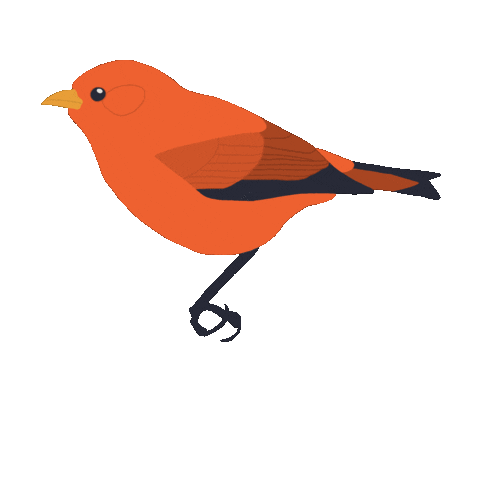 Hawaii Sticker by Momohara Media