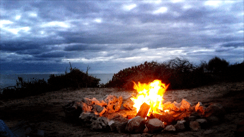 Campfire Song GIFs - Get the best GIF on GIPHY