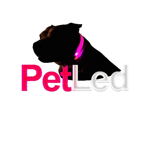 Dogstyle Petledbrasil Sticker by PETLED