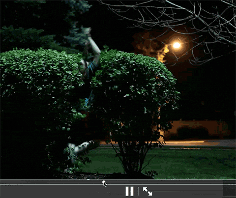 Hedge Trimming GIFs - Find & Share on GIPHY