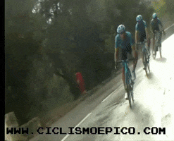 Colombia Crash GIF by ciclismoepico
