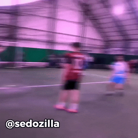 Sedozilla GIF