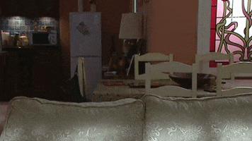 Shocked Jump Up GIF by Hollyoaks