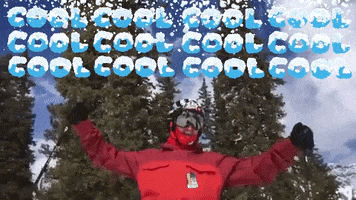 Ski This Is Cool GIF by Justin