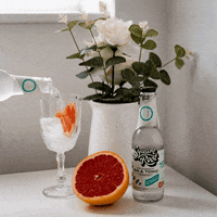 London Drink GIF by Square Root Soda