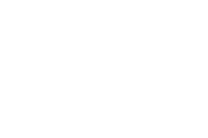 strozzis Sticker
