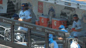 Ny Mets Celebration GIF by New York Mets