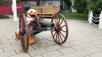 FollowStevens cool duck cannon attila GIF