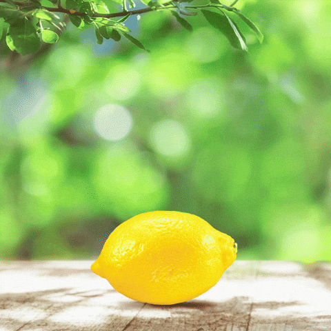 Radler GIF by Pan pivo