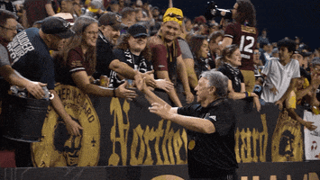 Fans High Fives GIF by Detroit City FC