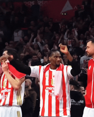 Crvena Zvezda Kkcz GIF