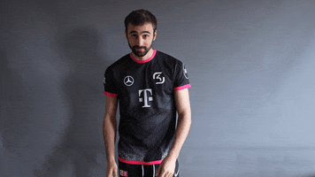 Money Team GIF by SK Gaming