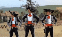 Amigos-da-qualy GIFs - Get the best GIF on GIPHY