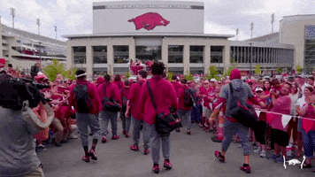 College Football GIF by Arkansas Razorbacks - Find & Share on GIPHY