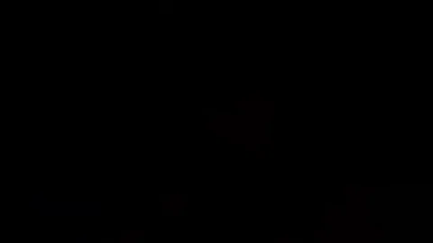 Sorry World Cup GIF by FIFA