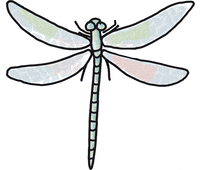 krima-isa-nature-eco-gardening-lOg8YmZdRHOHjnOPxg