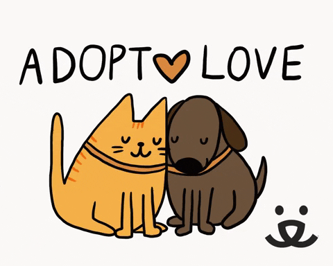 love, cat, dog, valentines day, adopt, best friends animal society, cat and  dog, bfas, mia page – GIF