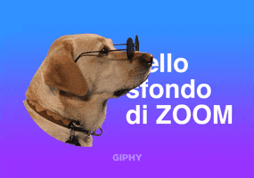Bello Sfondo Di Zoom GIF by GIPHY Cares