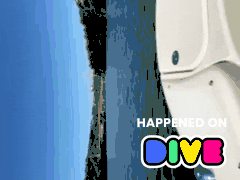 Twitch Boat GIF by Dive
