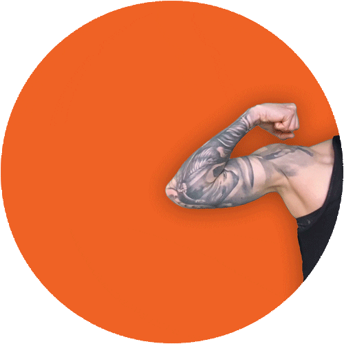 Sara Ventura Sticker