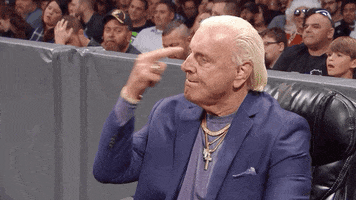 I See You Reaction GIF by WWE