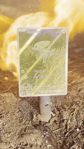 Trading Cards Pokemon GIF