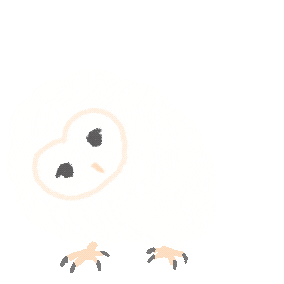 Owl Sticker