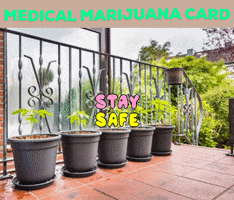 Medical Marijuana Card GIF