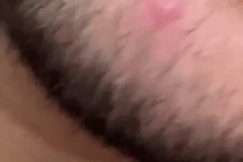 giphy.gif?cid=5e214886a502e7e4217294f319