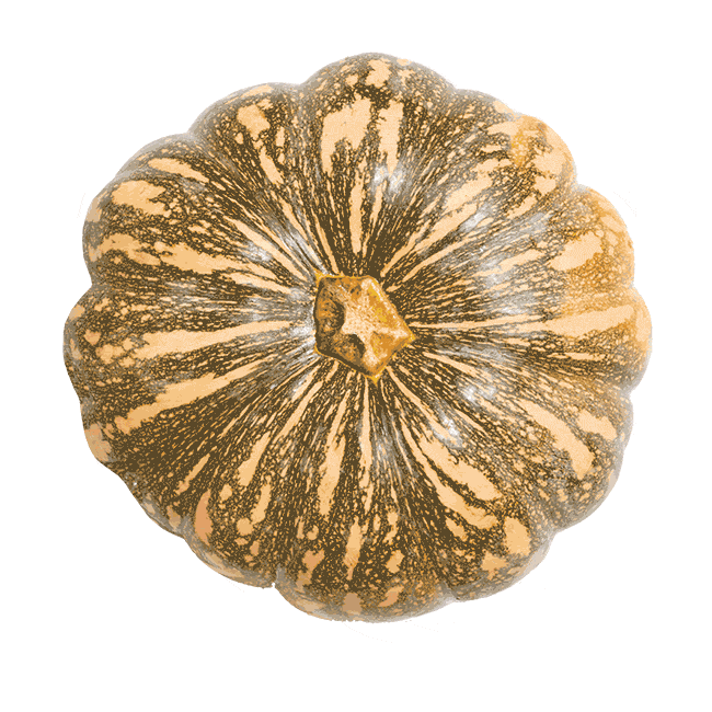 Soul Origin Sticker