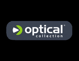 opticalcollection traffic eyewear lentes hog GIF