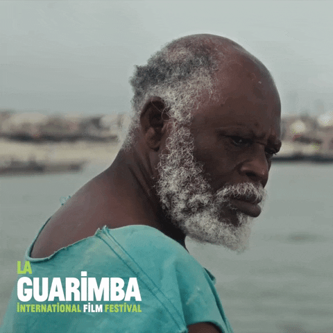 Excuse Me Reaction GIF by La Guarimba Film Festival