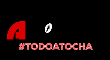 AtochaMiami GIF