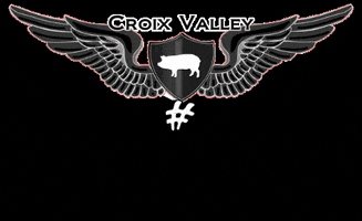 Croix Valley GIF