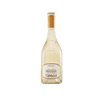 Cheers Wine Sticker by Cà Maiol