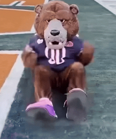 Chicago Bears Nfl GIF