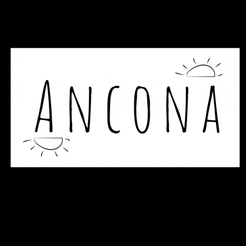 Agnuccia ancona GIF