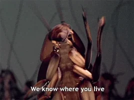 joes apartment cockroach GIF