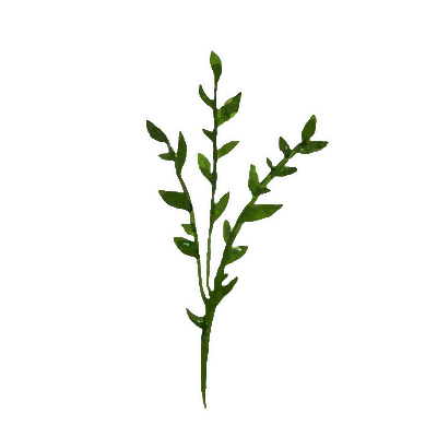 Summer Sticker