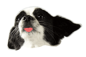 buero ost Sticker